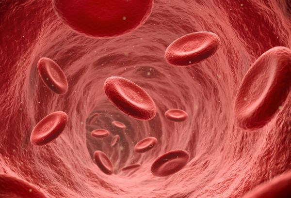 Qan laxtalanmasında K vitamininin rolu müəyyən edilib - ARAŞDIRMA