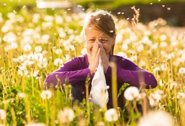Mövsümi allergiyası olanlar qidalanmaya diqqət etməlidirlər - Həkim-allerqoloq
