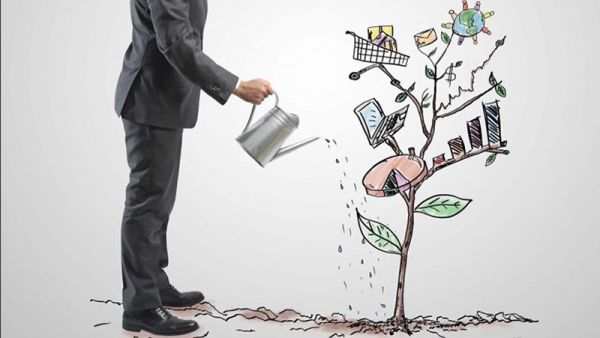 Azərbaycanda hansı ideyalar sərmayədarların diqqətindədir? - EKSPERT