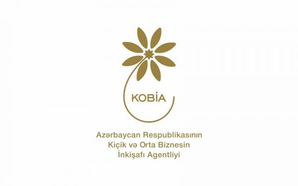 KOBİA auditor seçib