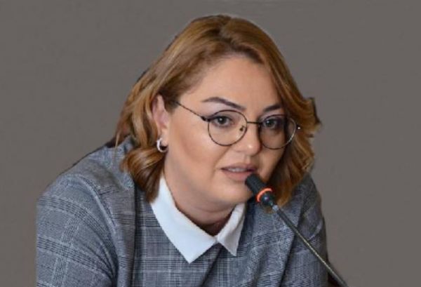 Yekaterinburq hadisələri humanitar faciə və diplomatik etinasızlıqdır - ŞƏRH