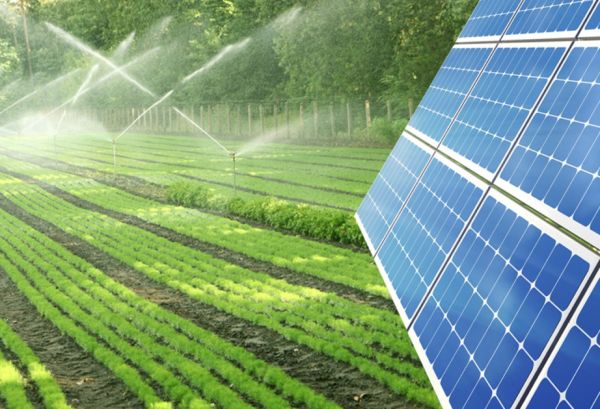 Ordubadda “ağıllı” kənd təsərrüfatı modeli tətbiq ediləcək