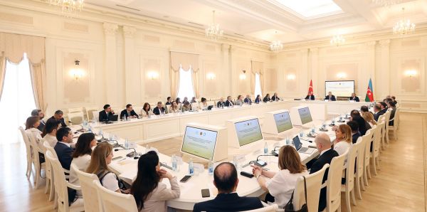 “Ailə mübahisələrində mediasiya institutunun tətbiqinin əhəmiyyəti və beynəlxalq təcrübə”