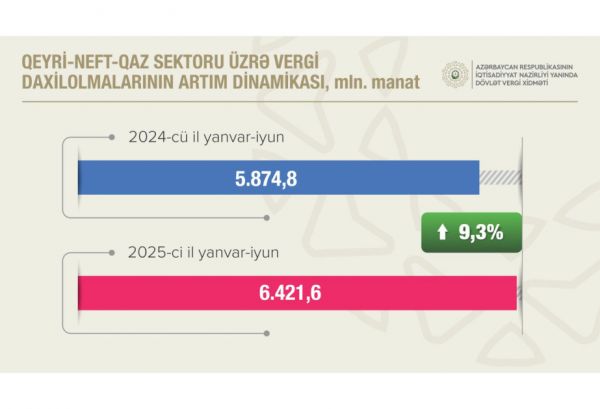 Bu ilin birinci yarısında büdcəyə Dövlət Vergi Xidmətindən daxil olan vəsaitin həcmi açıqlanıb