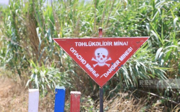 Ötən həftə 1600 hektardan çox ərazi minalardan təmizlənib