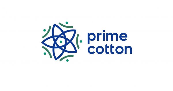 Prime Cotton bu il Beyləqanda taxıl yığımında rekord vurdu - FOTOLAR