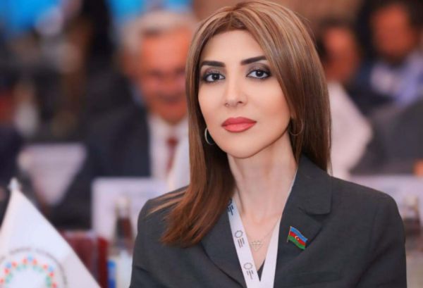 Azərbaycan-Türkmənistan münasibətləri regional sabitlik və davamlı inkişaf üçün nümunəvi modeldir - ŞƏRH