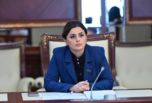 Azərbaycan Fransanın qərəzli siyasəti qarşısında qətiyyətlə dayanacaq - ŞƏRH