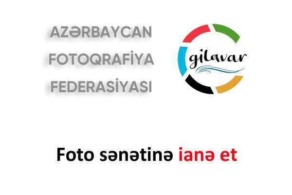 “Foto sənətinə ianə et” kampaniyasına başlanılıb