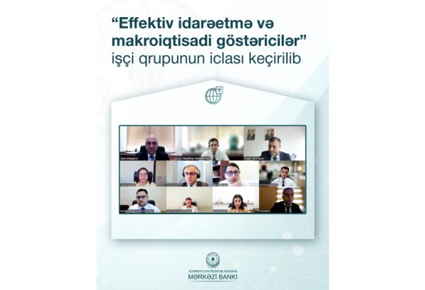 “Effektiv idarəetmə və makroiqtisadi göstəricilər” işçi qrupunun növbəti iclası keçirilib