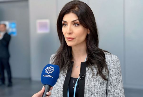 Vaşinqton görüşü Prezident Əliyevin rəhbərlik etdiyi diplomatiyamızın tarixi nailiyyətidir - ŞƏRH