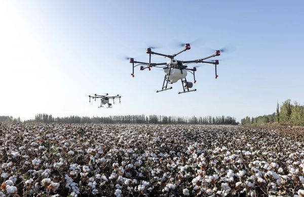 Prime Cotton beynəlxalq sertifikatlarla mövqeyini gücləndirərək