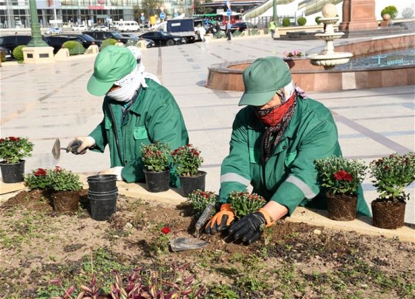 В Баку проведены очередные работы по санитарной очистке и уходу за зелёными насаждениями