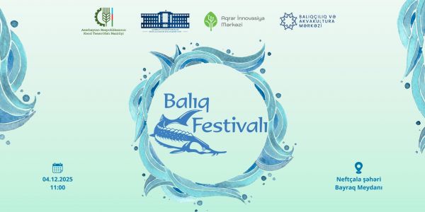 Neftçalada Balıq Festivalı keçiriləcək