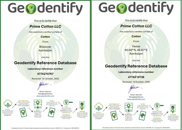 Prime Cotton böyük