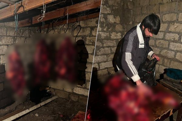 At ətini mal əti adı altında satmaq istədilər