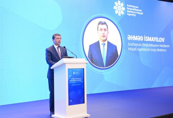 Azərbaycan mediası peşəkar institutlaşma mərhələsinə qədəm qoyub