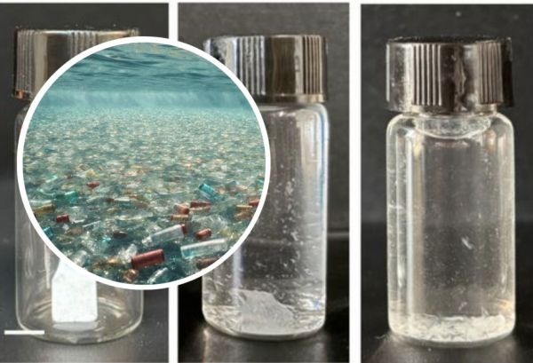 Alimlər komanda ilə özü-özünü məhv edə bilən “canlı plastik” hazırlayıblar