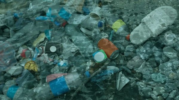 Alimlər əmrlə özünü məhv edən "canlı plastik" yaratdı