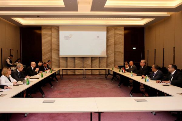 Development of Azerbaijan-Egypt energy cooperation was discussed