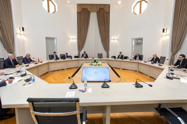 Azerbaijan and Kyrgyzstan Energy Ministers discussed opportunities to expand cooperation