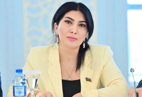 Azərbaycanın enerji strategiyası: praqmatizm, iqtisadi müstəqillik və geosiyasi liderlik
