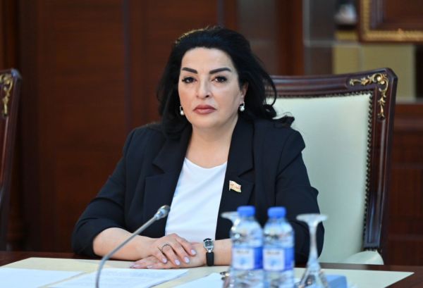 Azərbaycan yaşıl enerji gündəliyinin həyata keçirilməsində lider mövqelərdədir - ŞƏRH