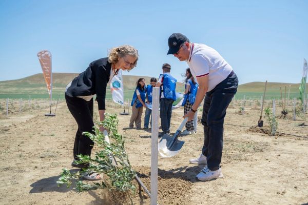 Ümumdünya Ətraf Mühit Günü münasibətilə ağacəkmə aksiyası təşkil olunub