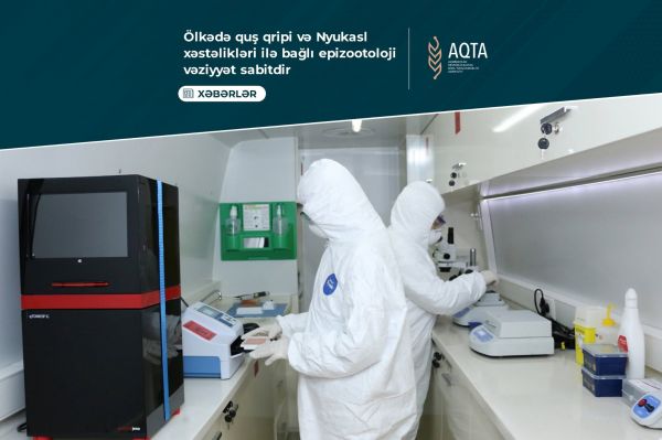 Ölkədə quş qripi və Nyukasl xəstəlikləri ilə bağlı epizootoloji vəziyyət sabitdir - RƏSMİ