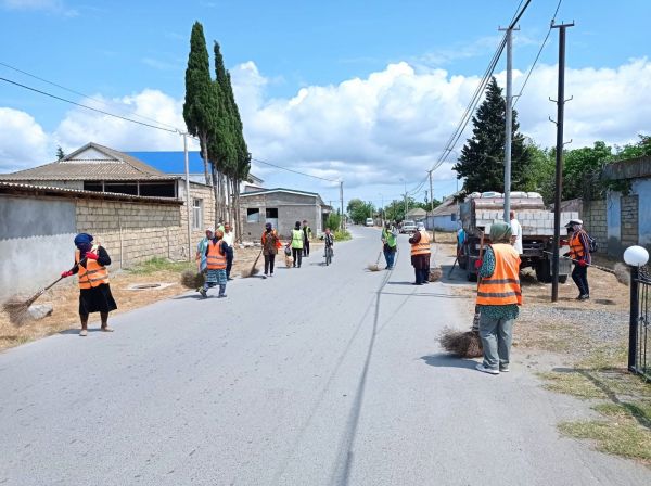 Neftçala şəhəri ərazisində təmizlik aksiyası keçirildi