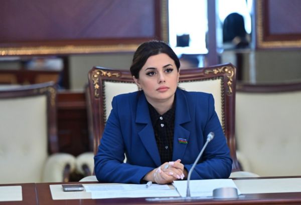 Deputat: Uşaqların rəqəmsal mühitdə daha güclü hüquqi və texnoloji müdafiəsi zəruridir