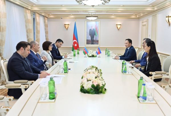 Sahibə Qafarova Kamboca Krallığı Senatının sədr müavini ilə görüşüb