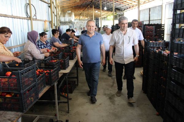 Natiq Ağayev təsərrüfatlara baxış keçirib