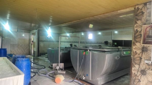 Nöqsanlar aşkarlanan pendir istehsalı müəssisəsinin fəaliyyəti məhdudlaşdırılıb