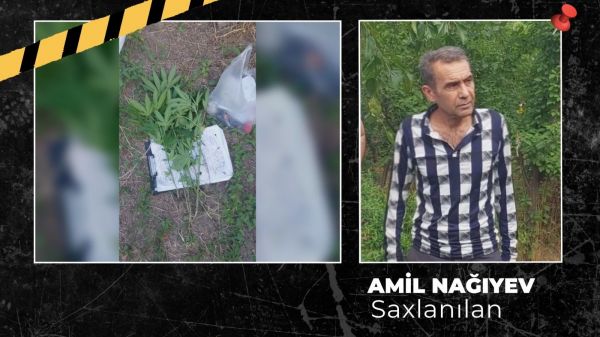 Ağsuda çətənə kolu yetişdirən şəxs tutulub