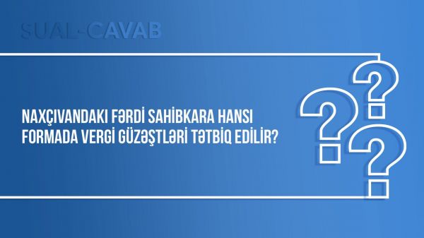 Naxçıvandakı fərdi sahibkara hansı formada vergi güzəştləri tətbiq edilir?
