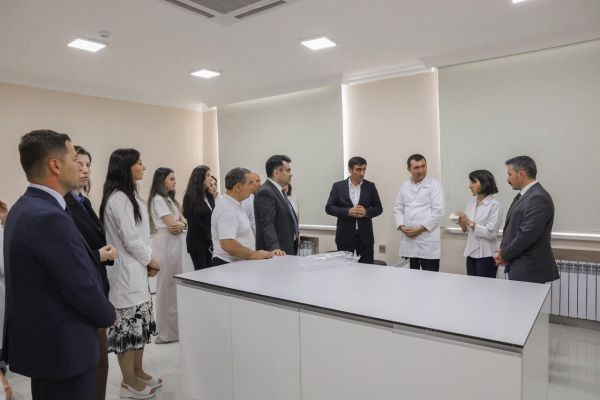 Qəhvəyi mərmər bağacığına qarşı samuray arılarının tətbiqinə start verilib
