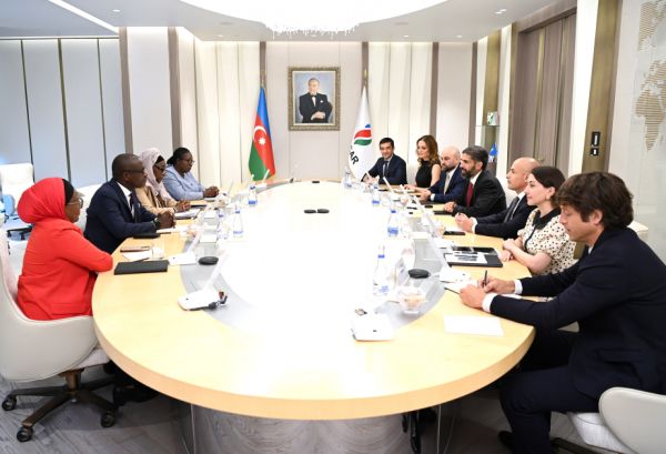 SOCAR və “PETROCI Holding” “Baleine” layihəsi üzrə görülən işləri nəzərdən keçirib