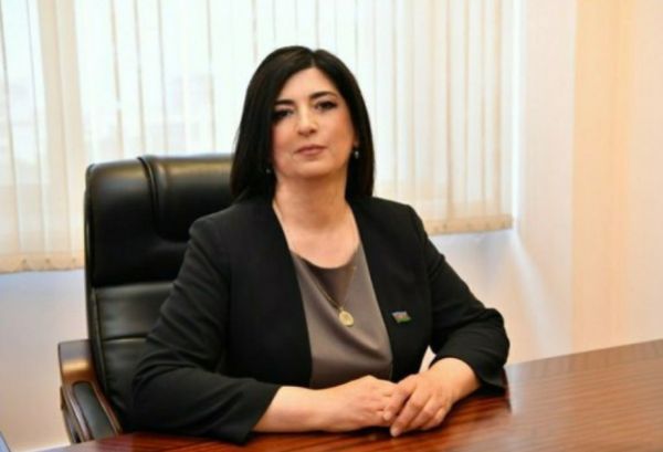 Prezident İlham Əliyev Azərbaycanı dünyada nüfuzlu dövlətlərdən birinə çevirib - ŞƏRH