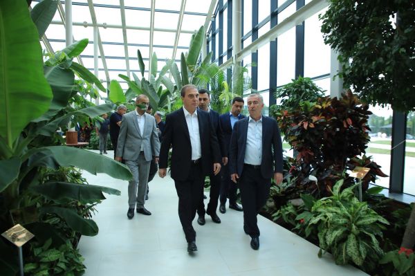 Niyazi Bayramov şəhərin bir sıra park və istirahət məkanlarına baxış keçirib