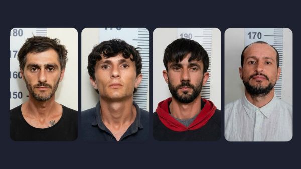 Sabunçu rayonunda 48 kq narkotik vasitə aşkarlanıb