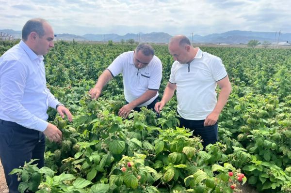 Azad Cəfərli Göygöldə vətəndaşlarla görüşüb, təsərrüfatlara baş çəkib