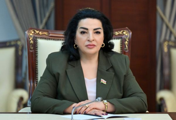 Prezident İlham Əliyevin Almaniyaya səfəri xarici siyasətdə növbəti mühüm diplomatik uğurdur - ŞƏRH