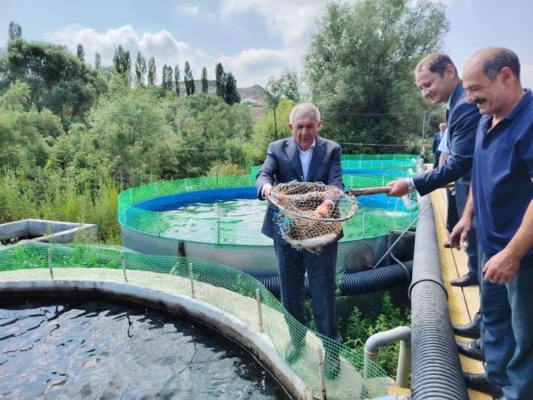 Tovuzun icra başçısı balıqçılıq təsərrüfatının inkişaf imkanları ilə tanış olub
