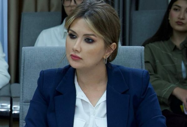 Siyasi şərhçi: Mina təhlükəsinə qarşı qlobal həmrəylik zəruridir