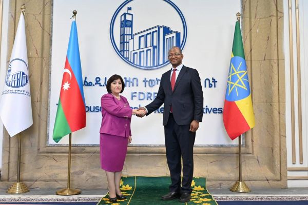 Sahibə Qafarova Efiopiya Xalq Nümayəndələri Palatasının sədri ilə görüşüb