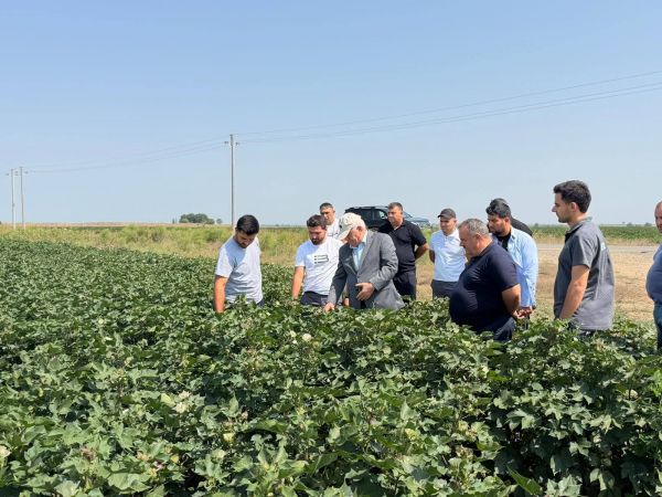 Aqrar sahənin inkişafı istiqamətində fermer və sahibkarlarla görüşlər davam etdirilir