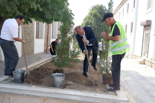 Abadlıq və yaşıllaşdırma işləri davam etdirilir