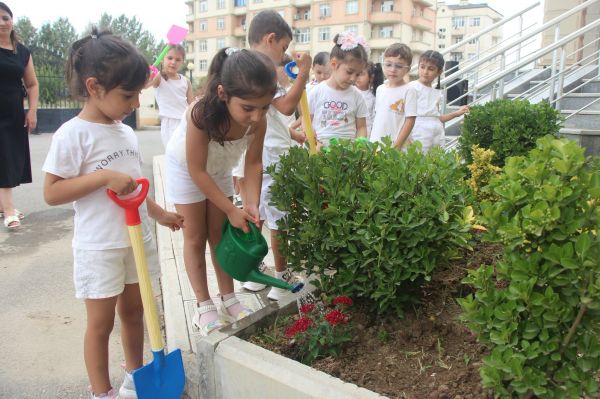 “Şəhərsalma və Memarlıq İli” çərçivəsində növbəti tədbir keçirilib