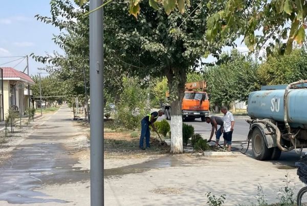 Biləsuvarda təmizlik və abadlıq işləri davam edir